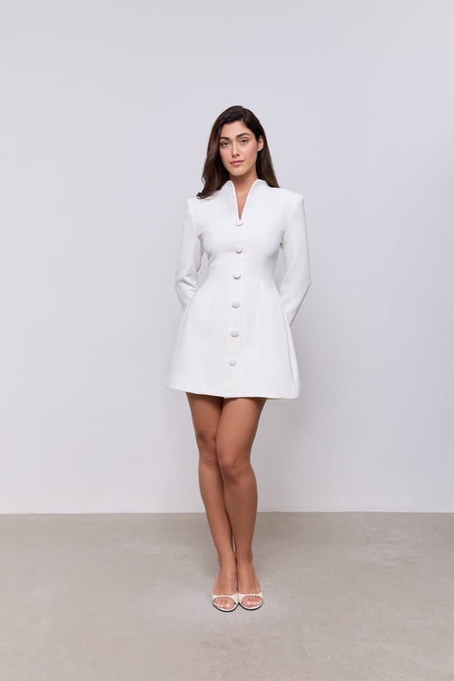 Button Down Dress